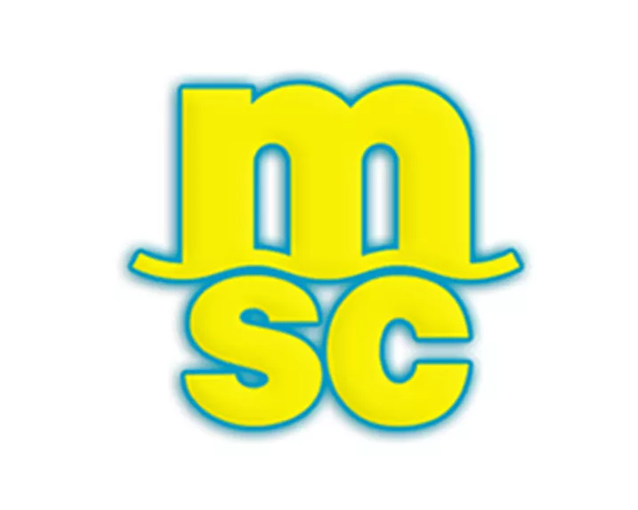 船公司货代地中海航运MSC,宁波港,上海港,天津港等多个港口海运订舱运输服务